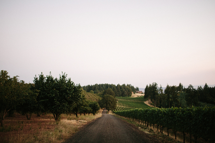 Summer_2014_Recap_Jonas_Seaman_1031